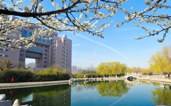 山东理工大学2020年MBA第二批次提前面试通知