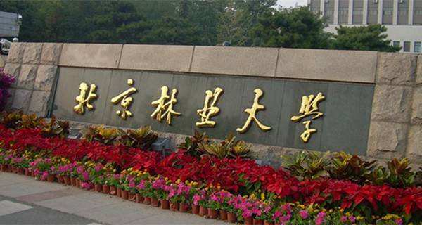 北京林业大学2020年MBA招生简章