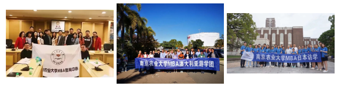 南京农业大学2021年工商管理硕士（MBA）招生简章