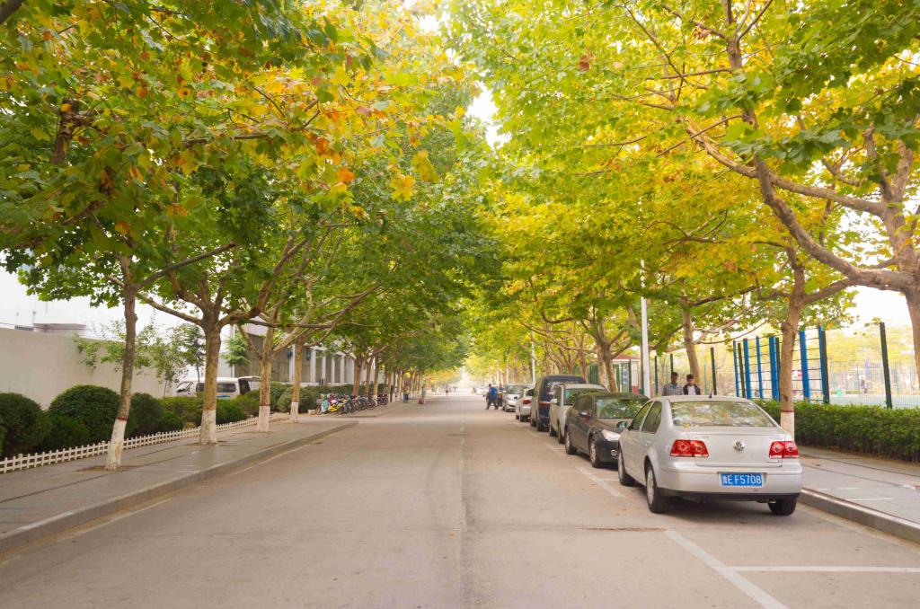 中国石油大学（华东）2021年MBA提前面试