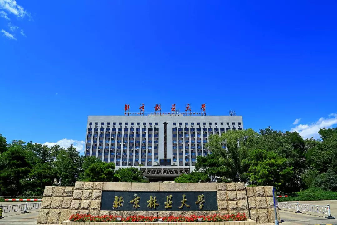 2022年北京林业大学MBA招生简章,计划招收非全85名！