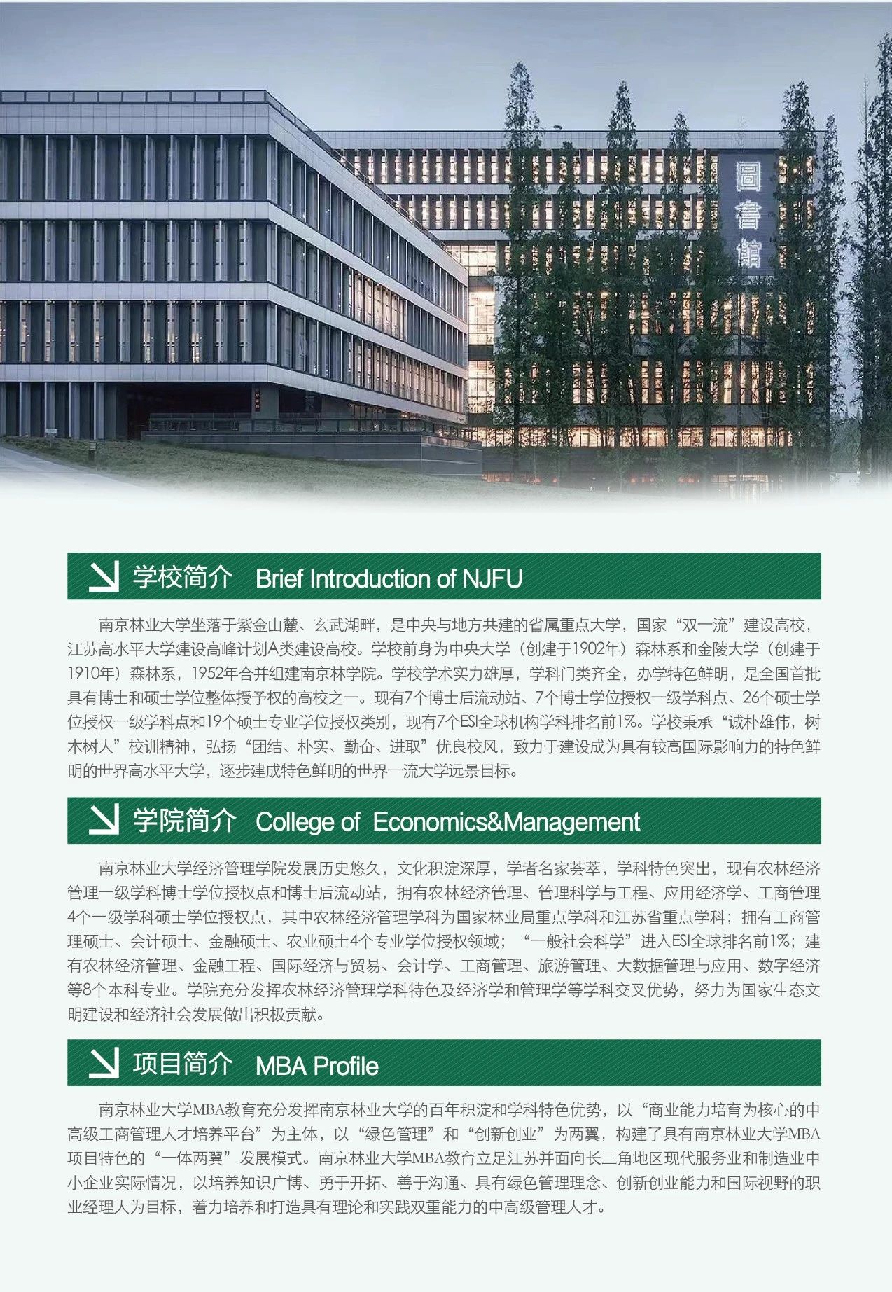 w1.jpg